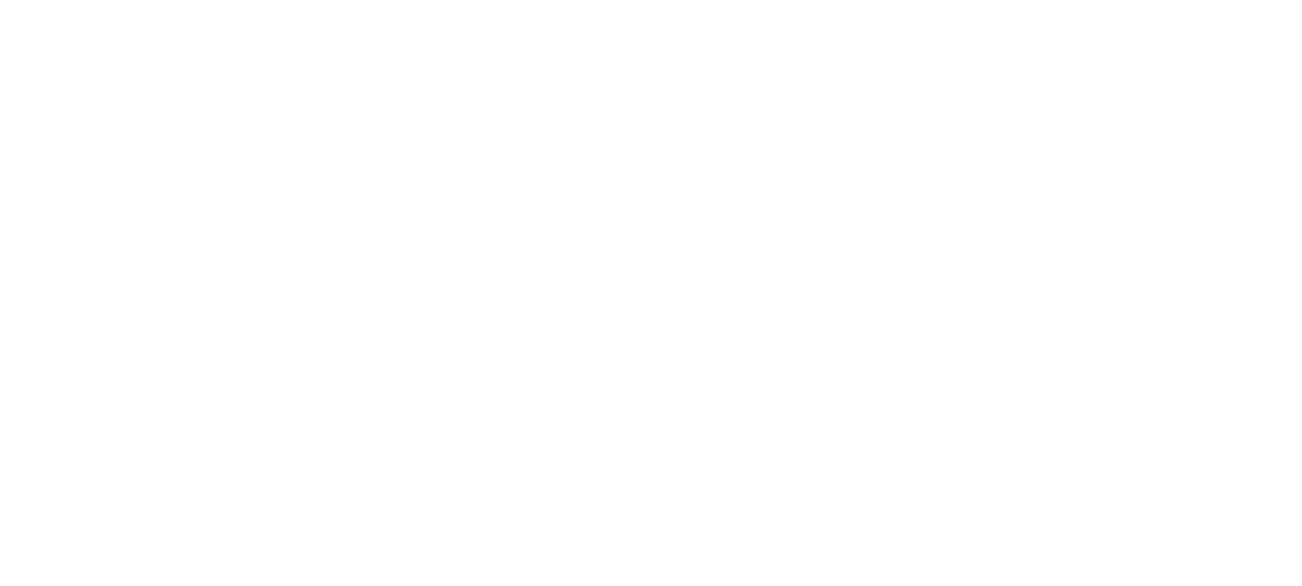 mavs-vb-logo